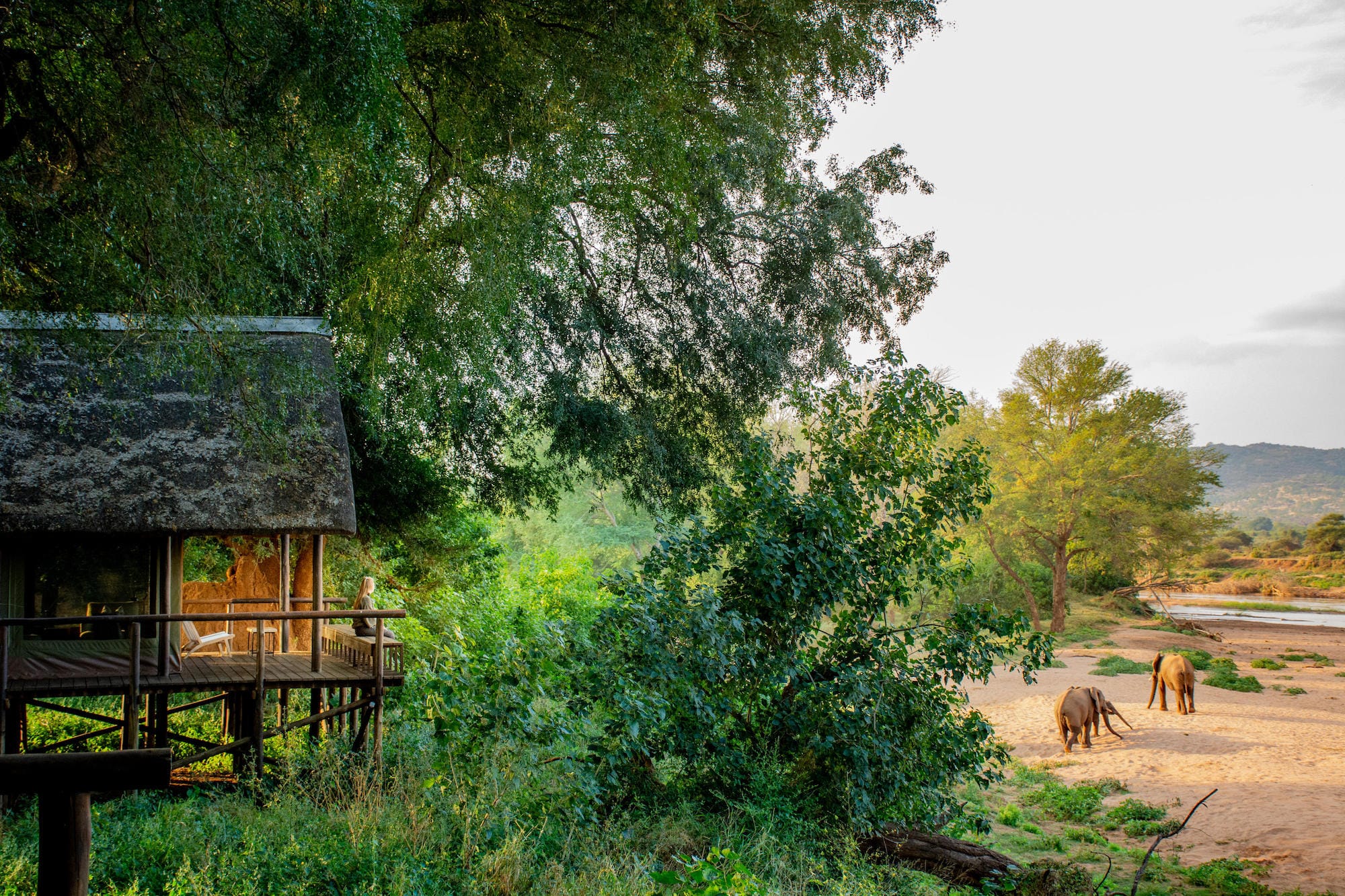 How To Budget For Your Safari: A First-Timer’s Guide