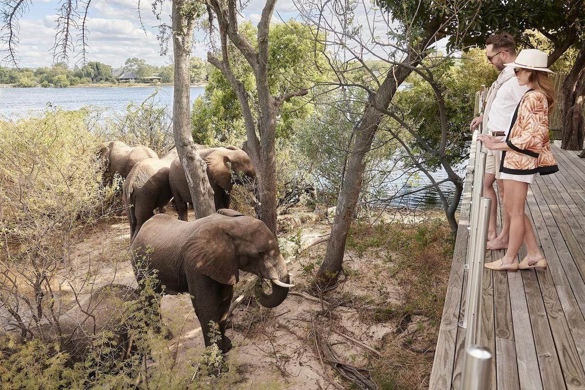 HOW TO PLAN A HONEYMOON SAFARI