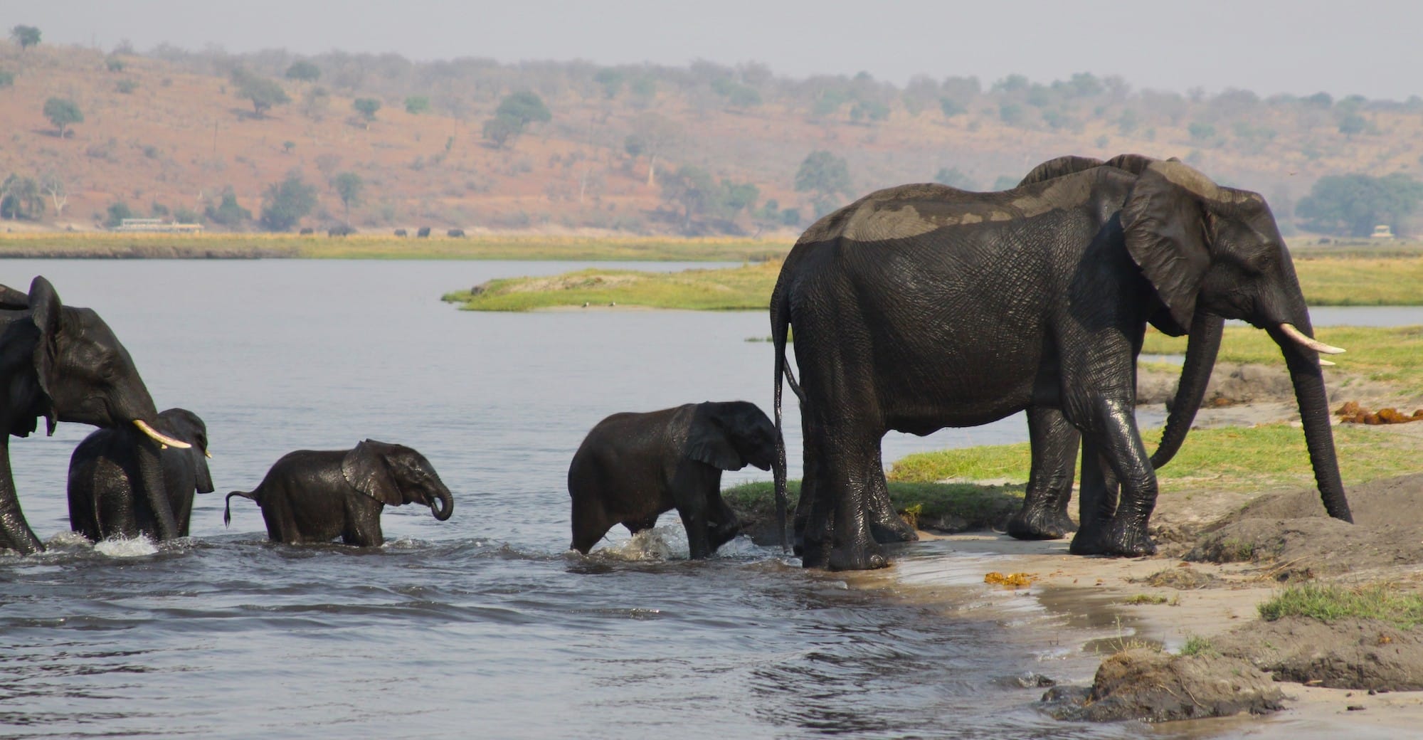 Chobe