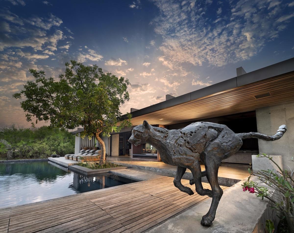 HOW TO BUDGET FOR YOUR SAFARI: A FIRST-TIMER’S GUIDE