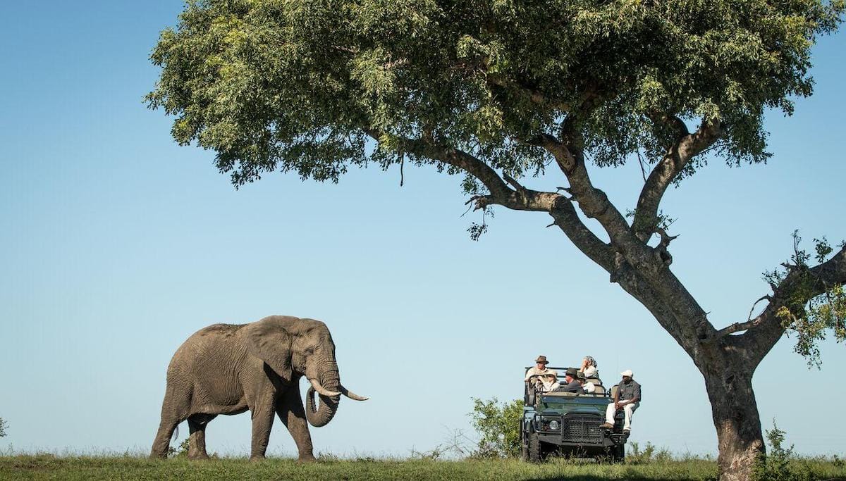 How To Budget For Your Safari: A First-Timer’s Guide