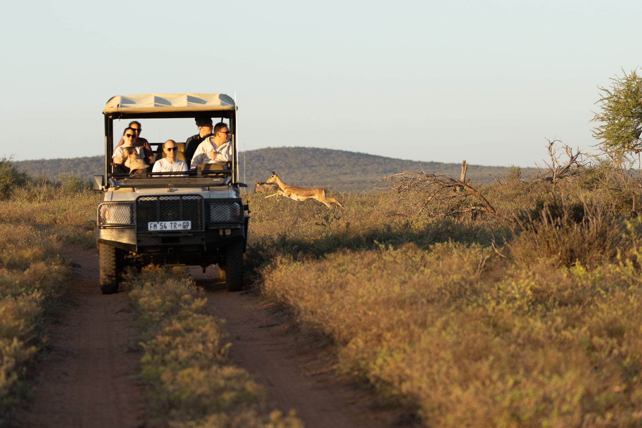 Madikwe Game Reserve