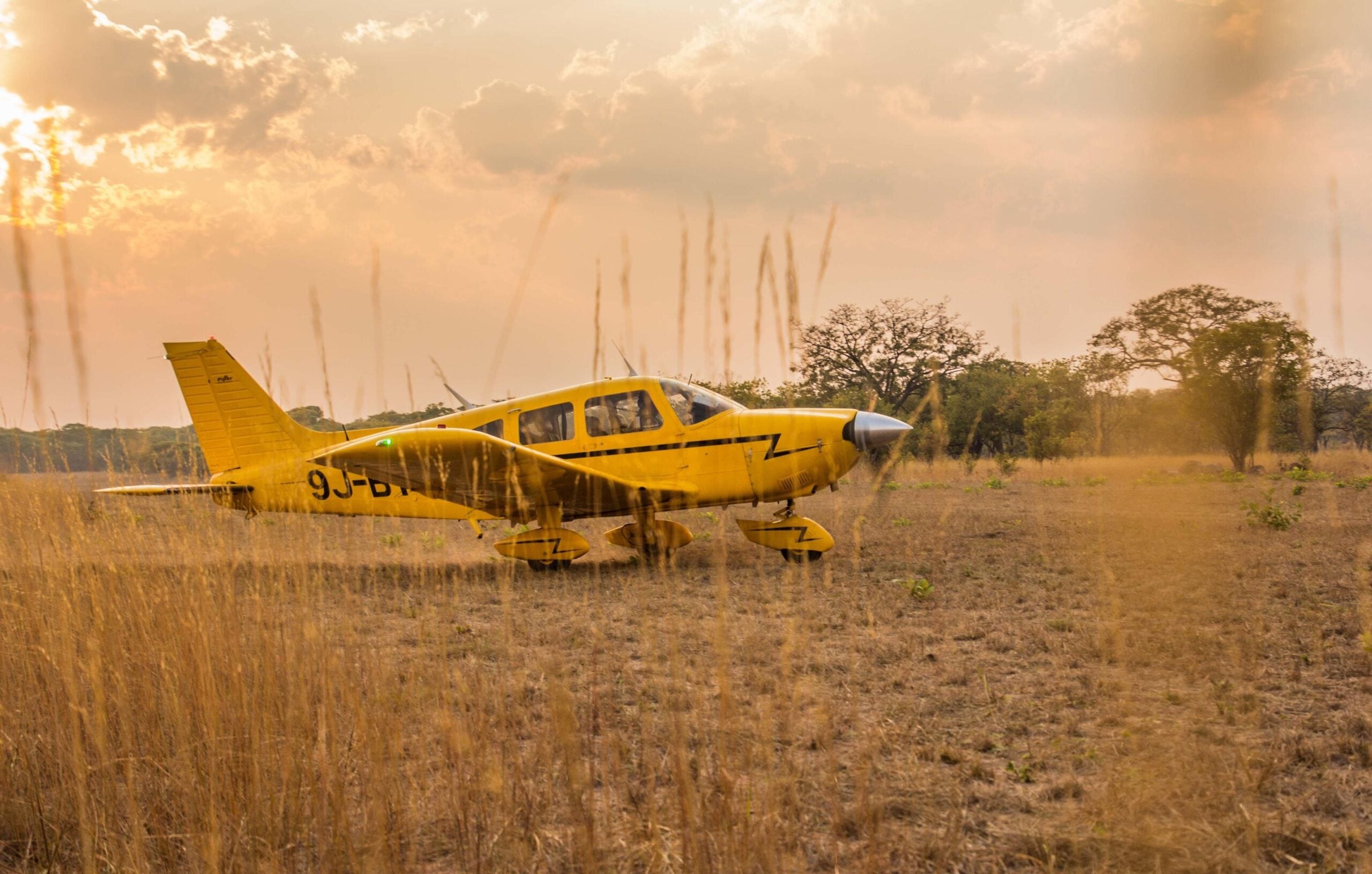 How Can I Reduce Emissions on Safari?