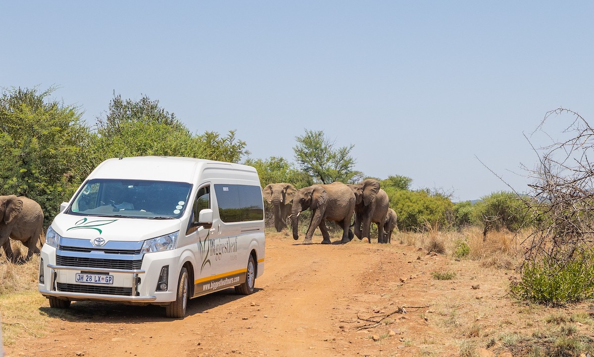 How Can I Reduce Emissions on Safari?