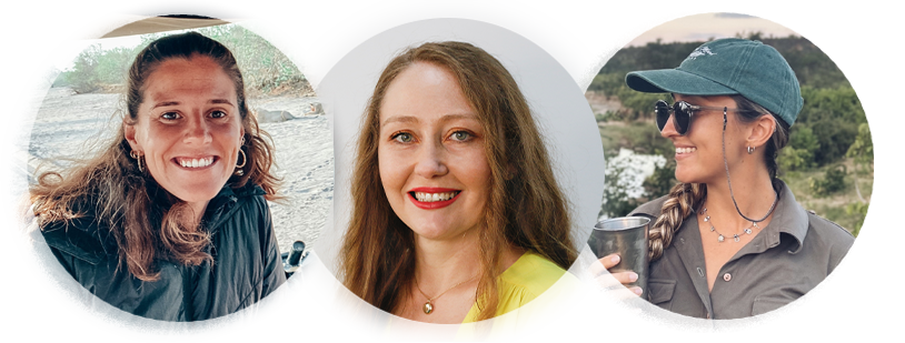 Meet Our Cape Town Experts