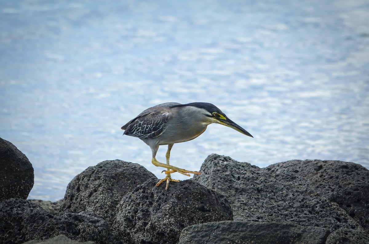 Mauritius