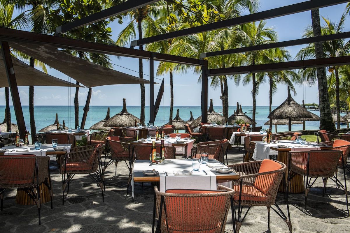 ROYAL PALM