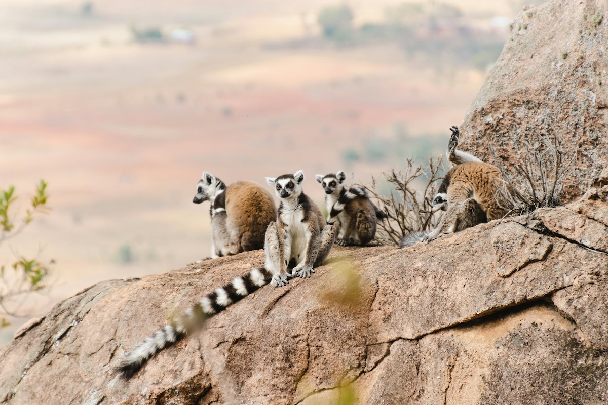 Madagascar