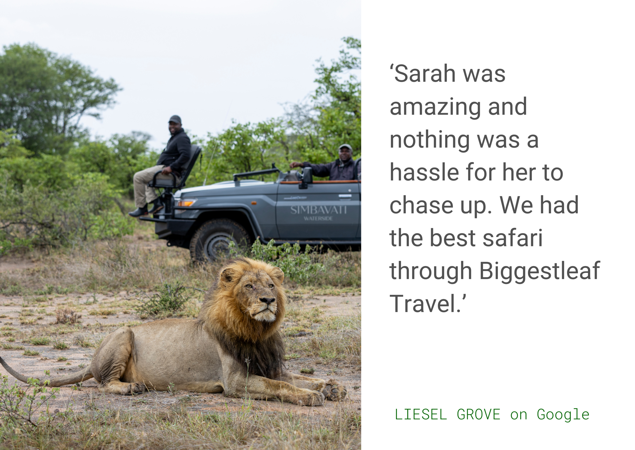 MEET THE TEAM: SARAH IHLENFELDT