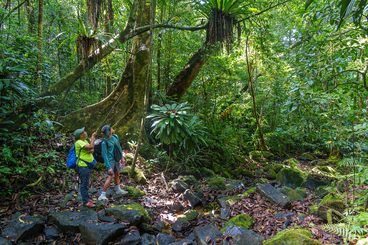 MASOALA FOREST LODGE