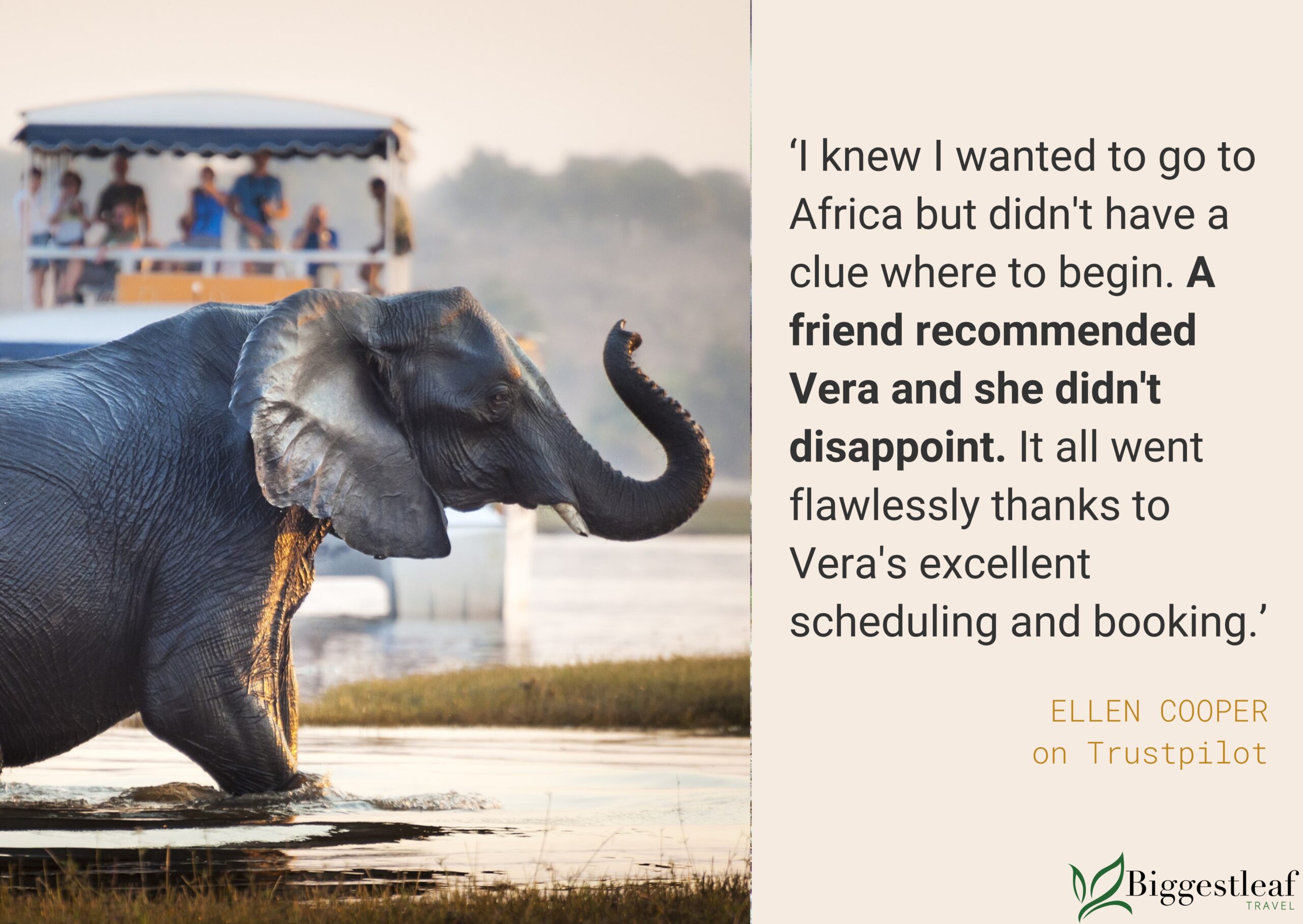 MEET THE TEAM: VERA CASTRO