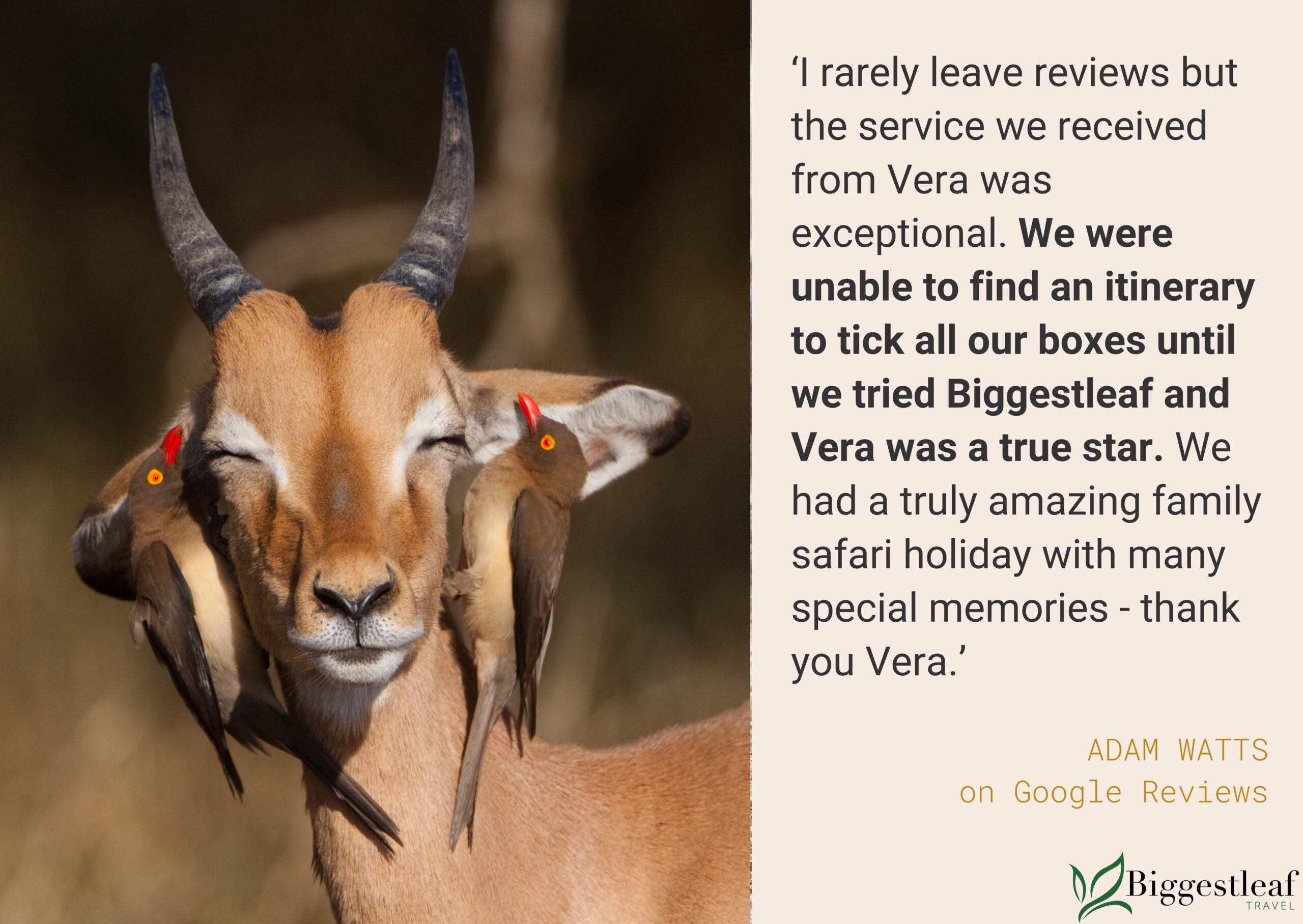 MEET THE TEAM: VERA CASTRO
