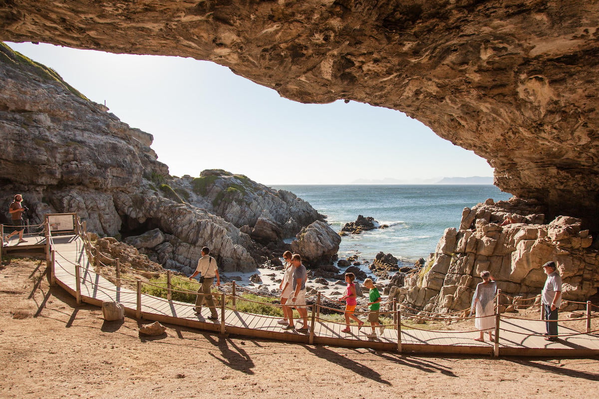 WHERE TO GO FOR A CAPE TOWN SAFARI