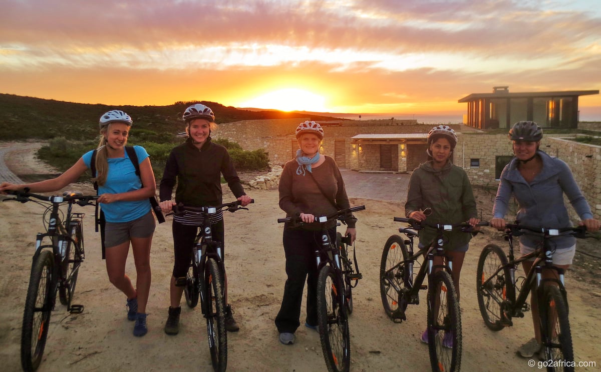 WHERE TO GO FOR A CAPE TOWN SAFARI