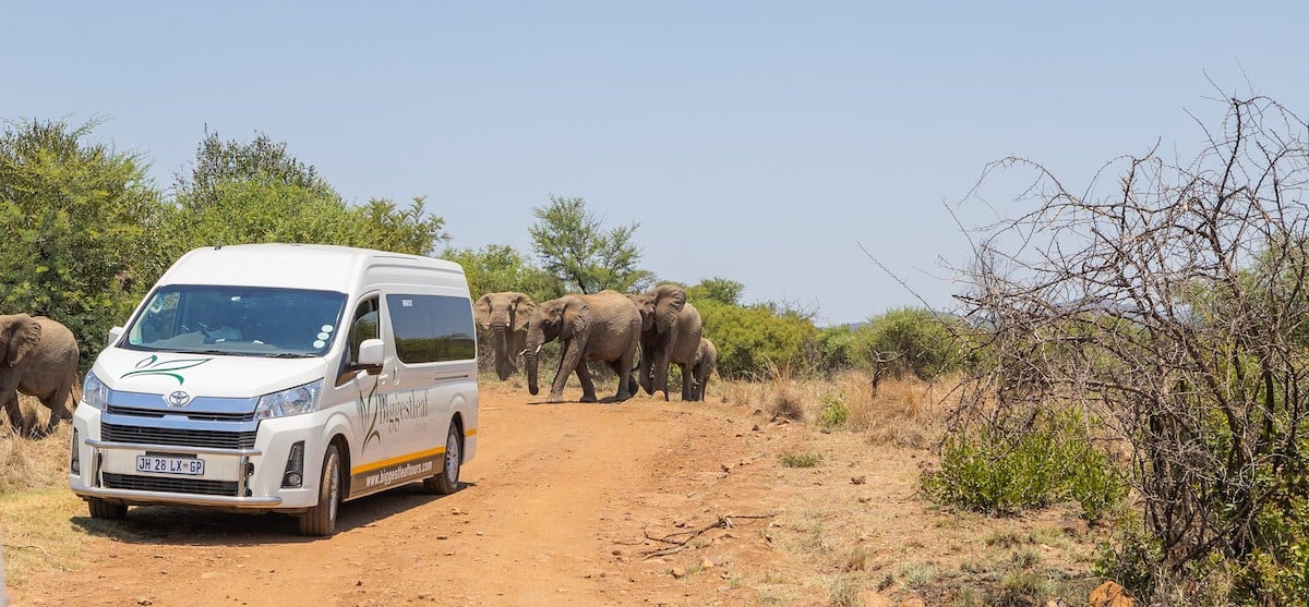 Can I Use Uber to Get to My Safari Lodge?