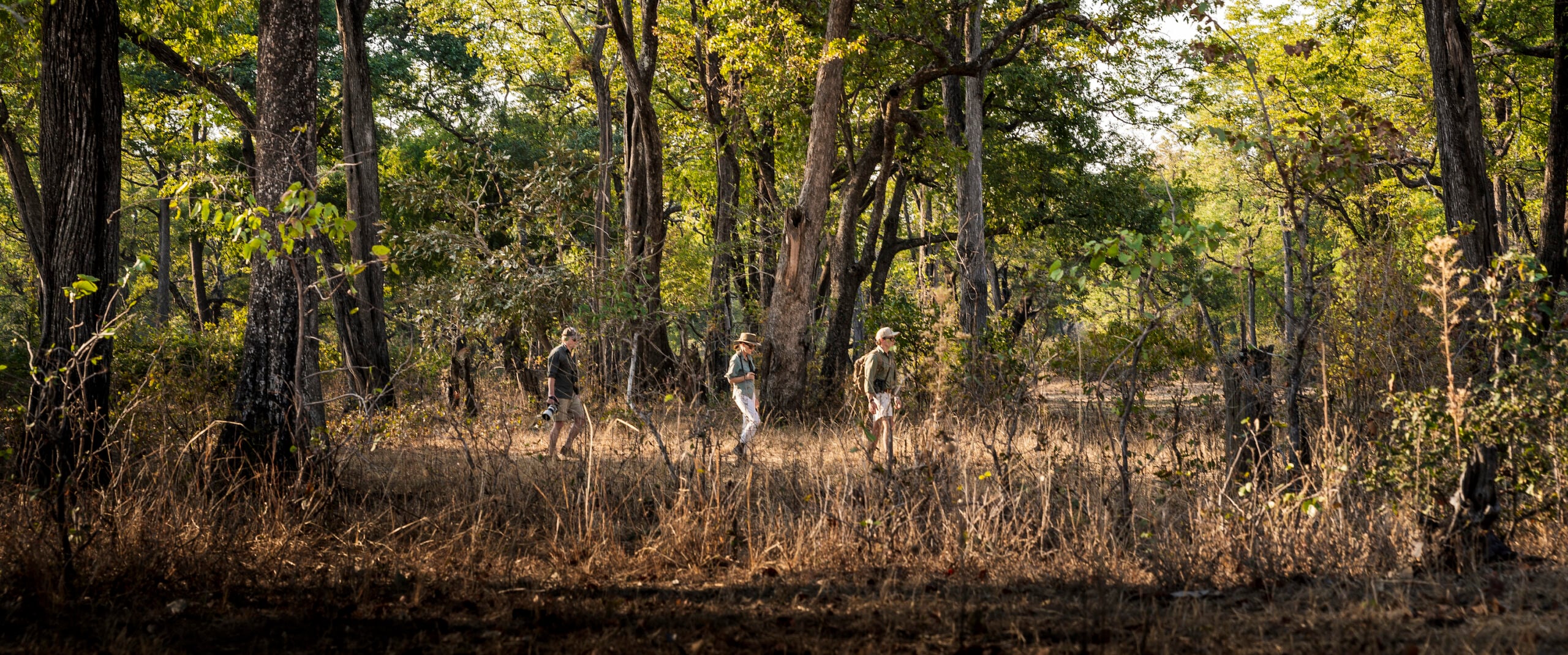 South Luangwa National Park
