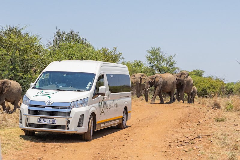 Can I Use Uber to Get to My Safari Lodge?