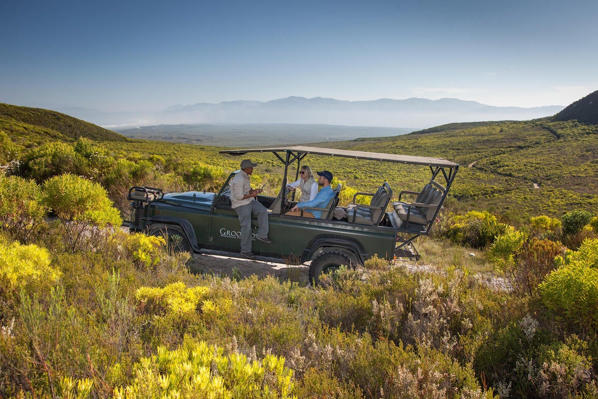 Where to go for a Cape Town Safari