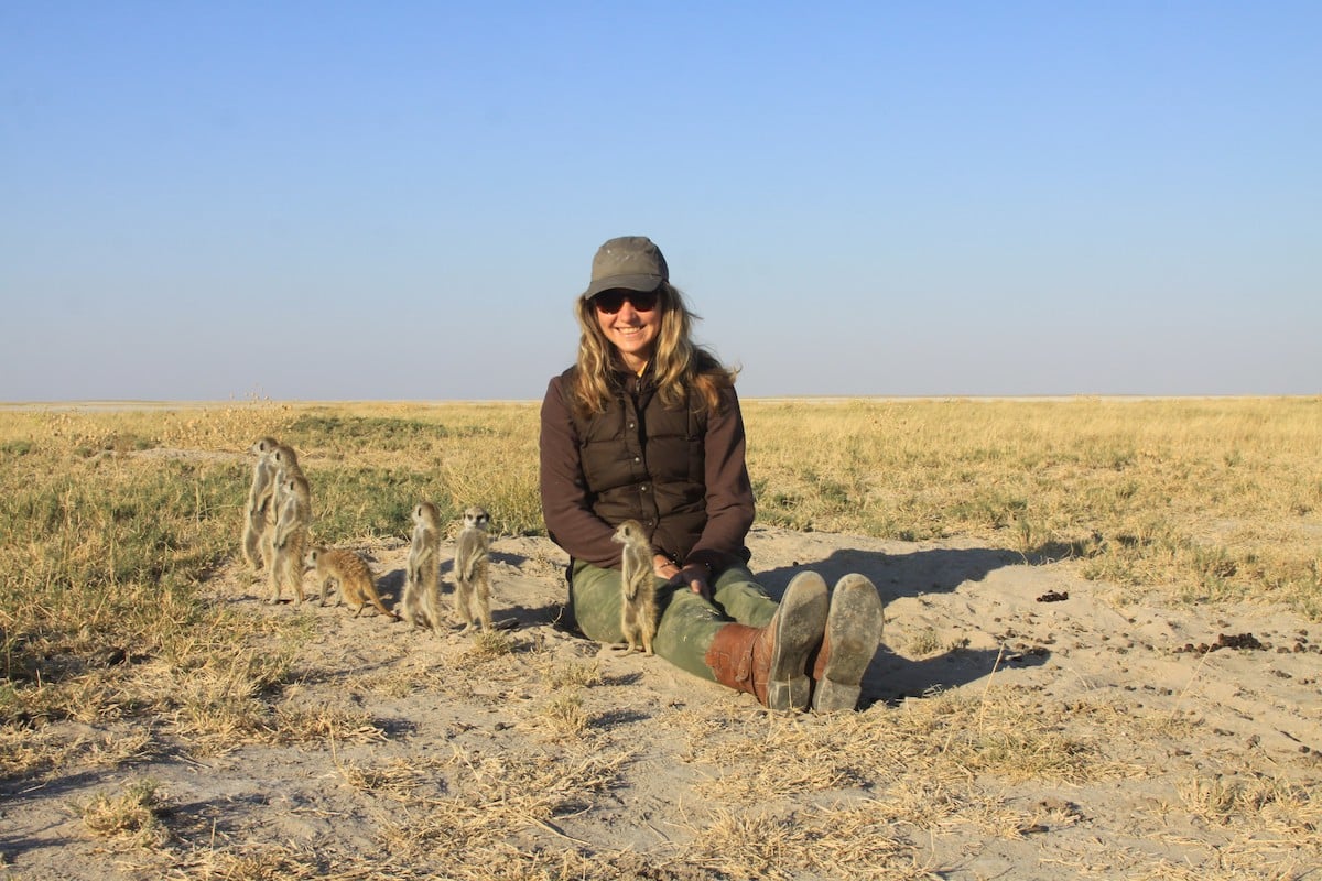 Biggestleaf staffer sitting among meerkats on the Makgadikgadi Pan