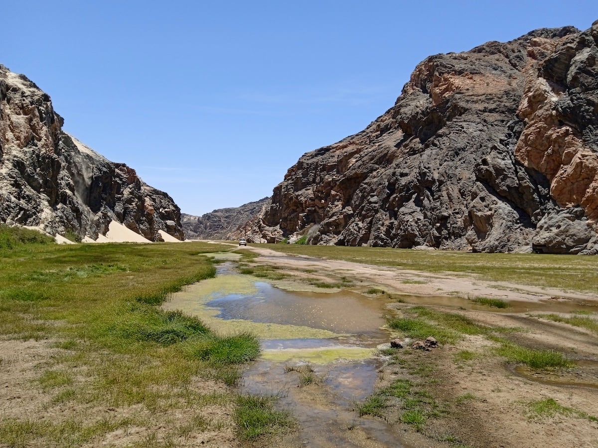 Green grass and rain pools in a rocky Skeleton Coast valley
