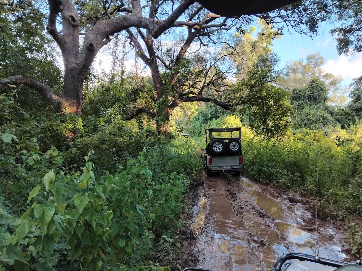 Game drive vehicle on a muddy road in the rainy season