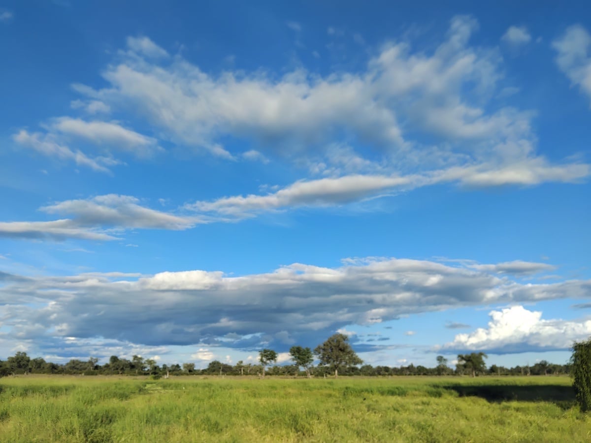 Green plains under summer clouds