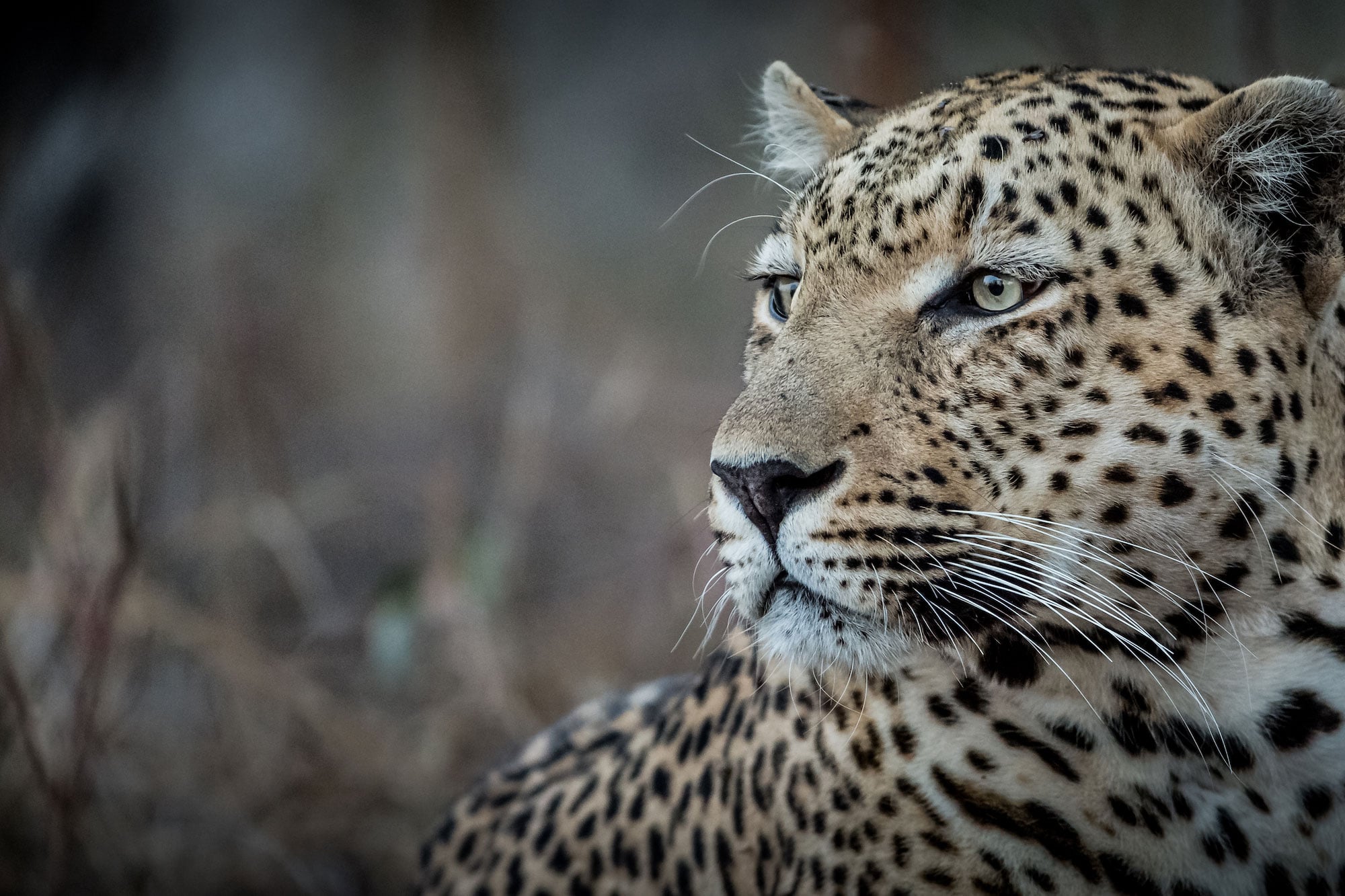 South Africa