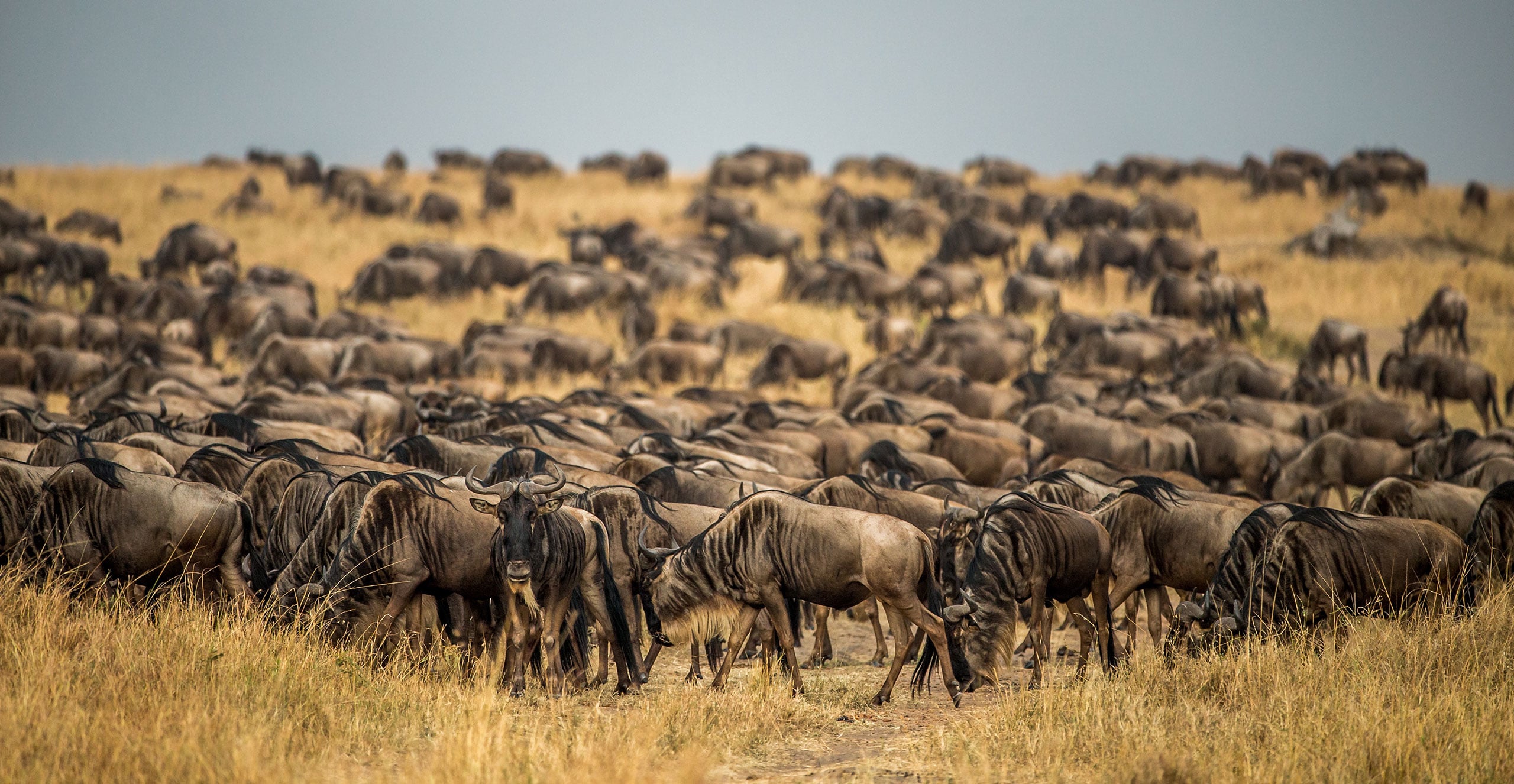 Kenya