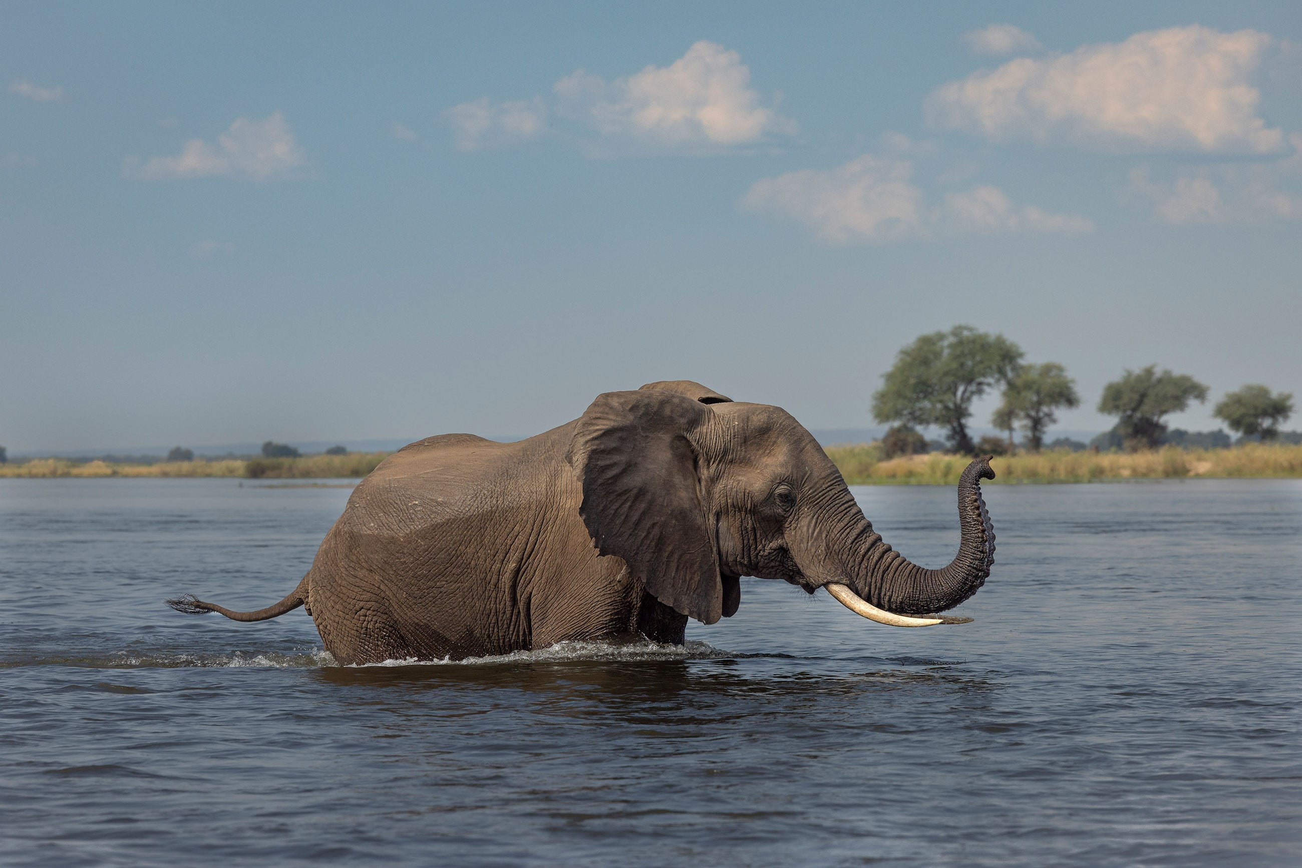 Lower Zambezi